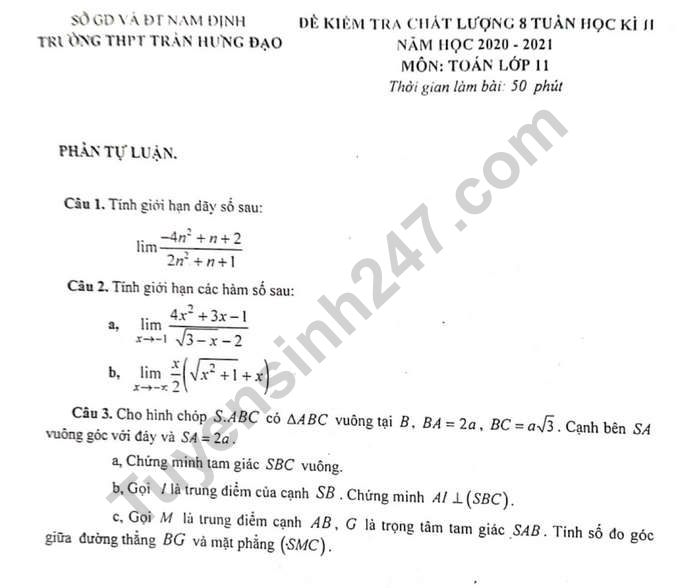 Đề thi giữa kì 2 lớp 11 môn Toán 2021 - THPT Trần Hưng Đạo