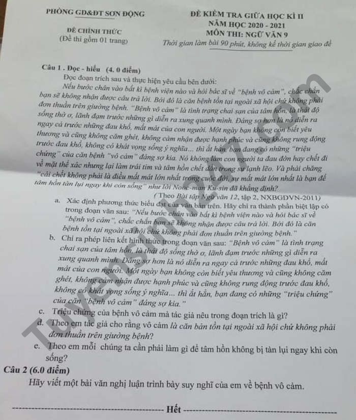 Đề thi giữa kì 2 năm 2021 Phòng GD Sơn Động môn Văn lớp 9