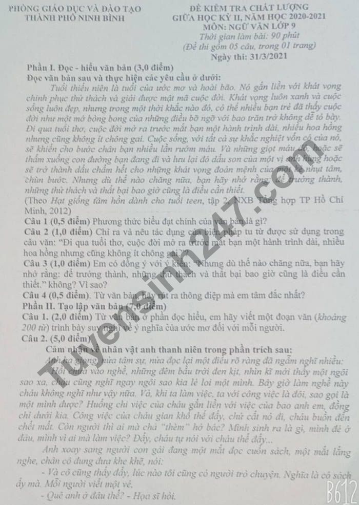Đề thi giữa kì 2 năm 2021 TP Ninh Bình môn Văn lớp 9