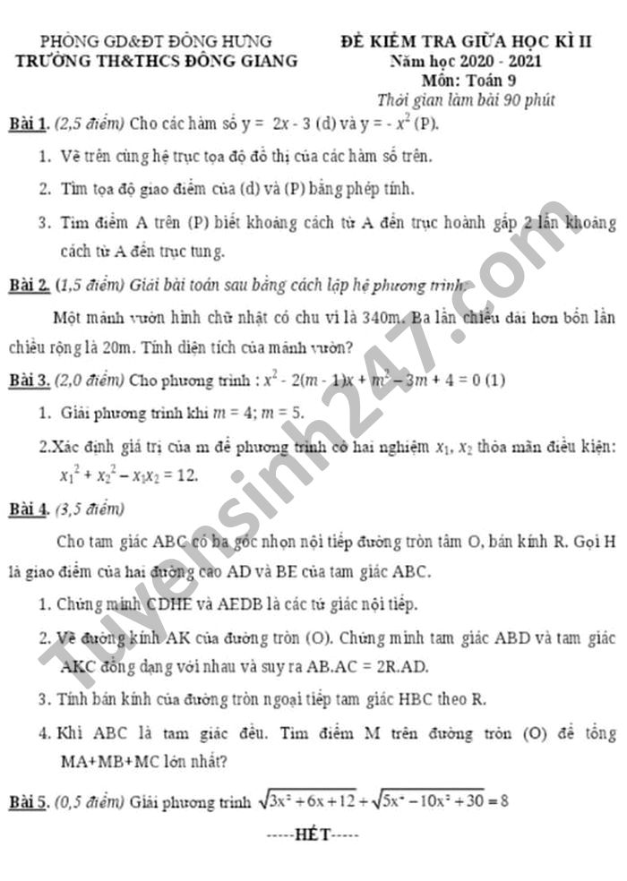 Đề thi giữa kì 2 môn Toán lớp 9 TH-THCS Đông Giang năm 2021