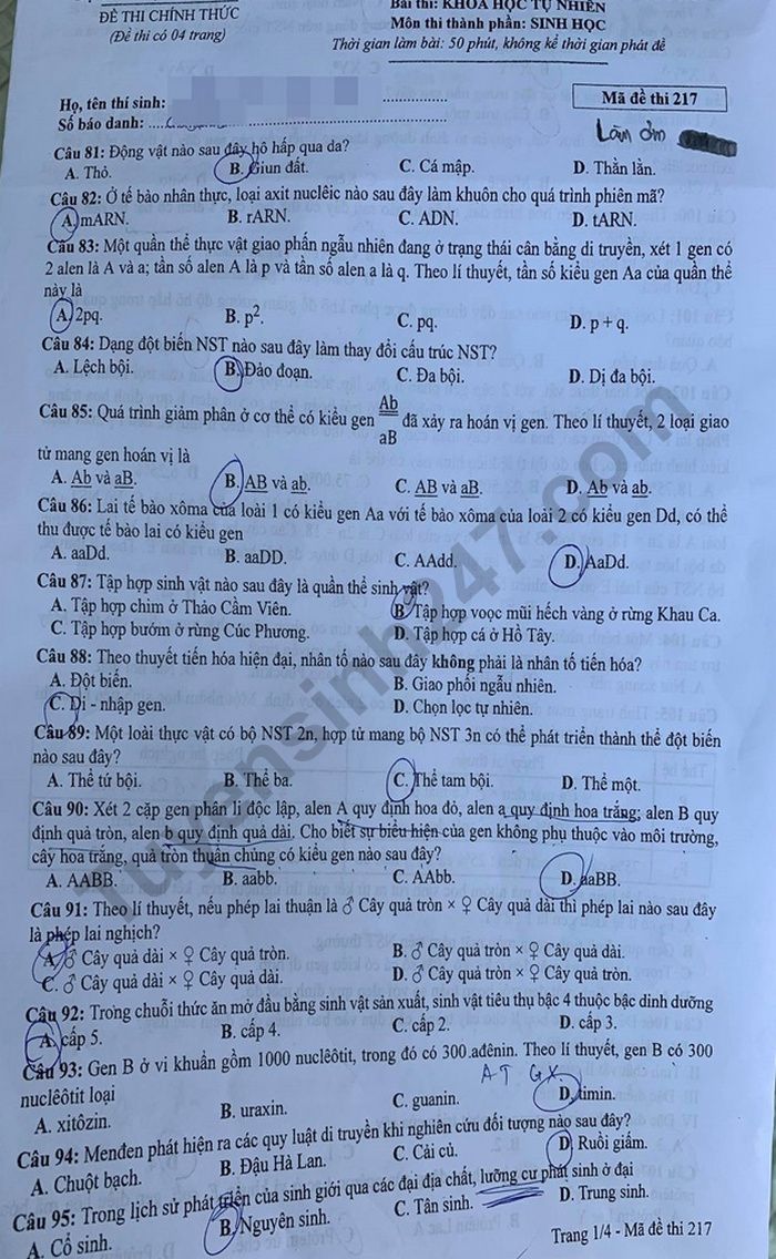 Đáp án đề thi tốt nghiệp THPT năm 2020 mã đề 217 môn Sinh 