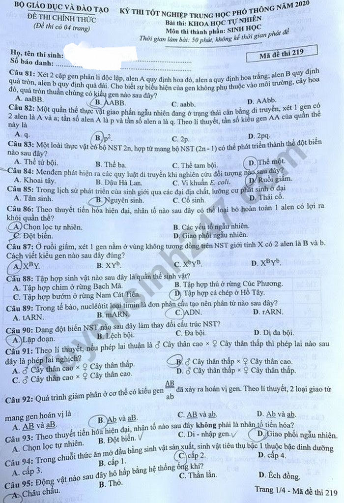 Đáp án đề thi tốt nghiệp THPT năm 2020 môn Sinh mã đề 219