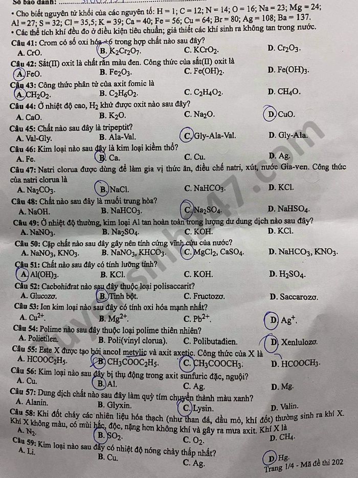 Đáp án đề thi tốt nghiệp THPT năm 2021 môn Hóa mã đề 202