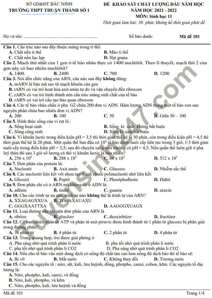 Đề thi khảo sát đầu năm 2021 lớp 11 môn Sinh - THPT Thuận Thành 1