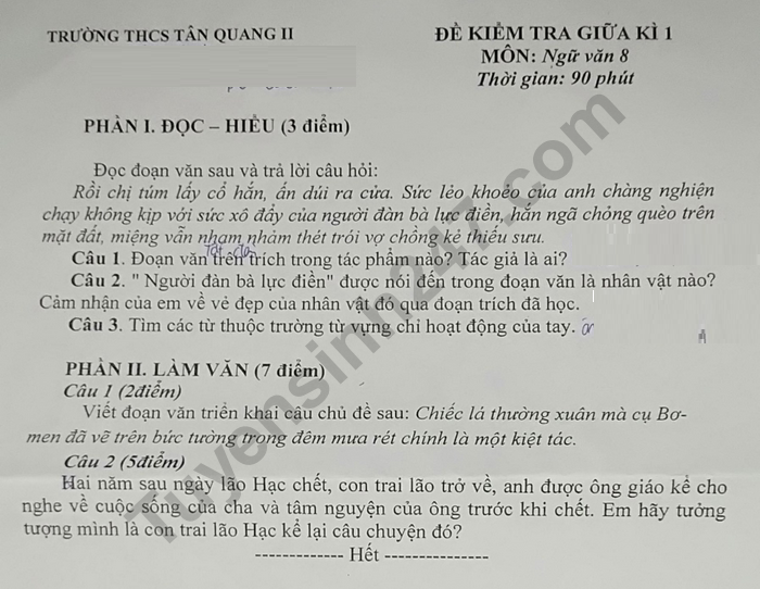 Đề thi giữa kì 1 môn Văn lớp 8 - THCS Tân Quang II