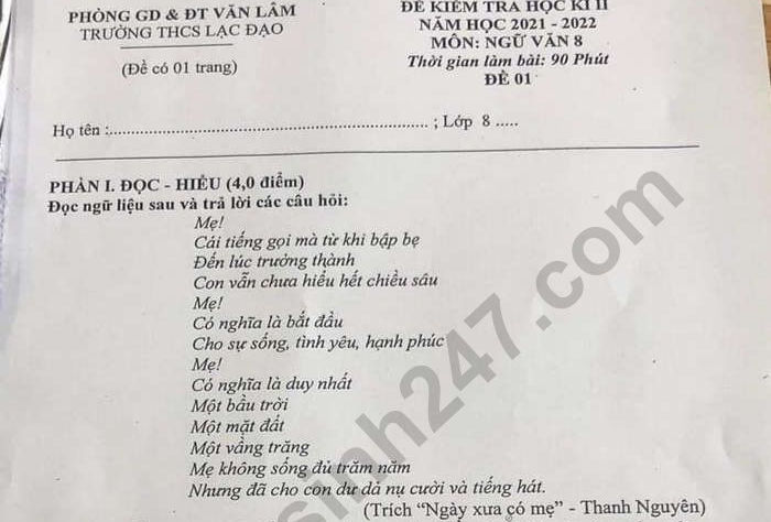 Đề thi kì 2 môn Văn lớp 8 - THCS Lạc Đạo 2022