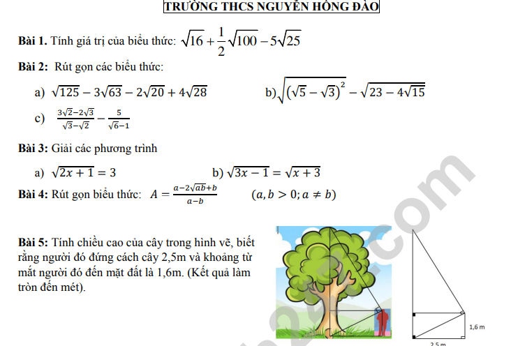 Đề giữa kì 1 môn Toán lớp 9 năm 2022 - THCS Nguyễn Hồng Đào (Tham khảo)