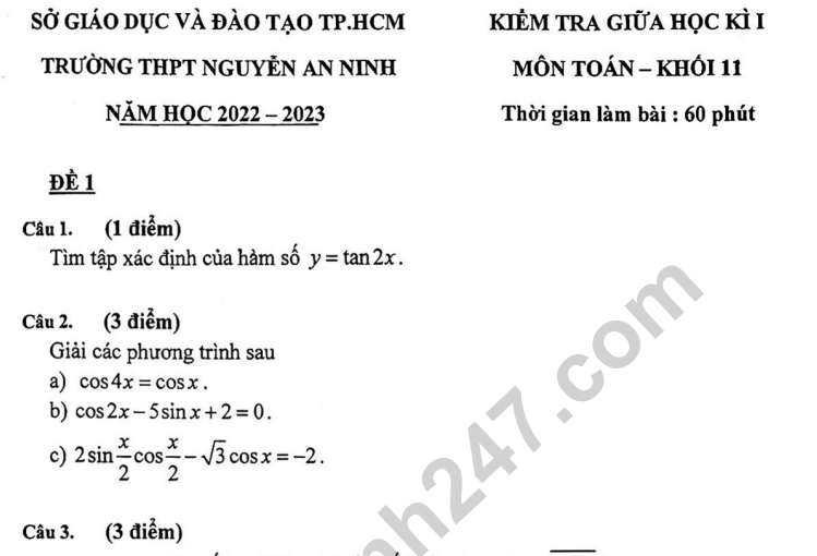 Đề thi giữa kì 1 môn Toán lớp 11 - THPT Nguyễn An Ninh 2022