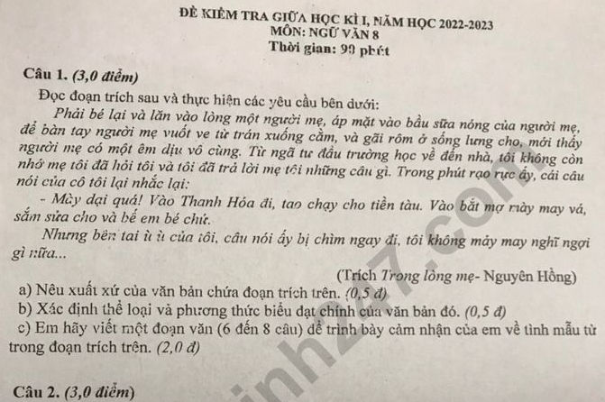 Đề giữa kì 1 môn Văn 2022 lớp 8 - THCS Nguyễn Thị Định