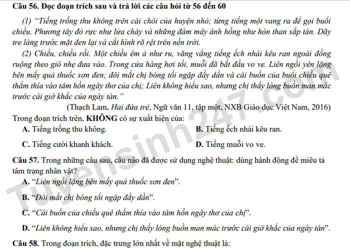 Đề thi thử phần Tư duy định tính - ĐGNL Đại học Quốc gia Hà Nội (Đề 4)