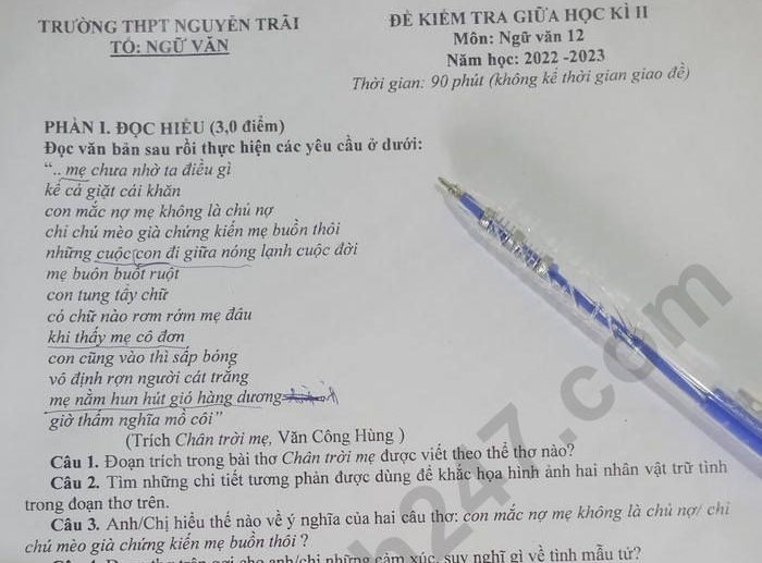 Đề thi giữa kì 2 lớp 12 môn Văn 2023 - THPT Nguyễn Trãi