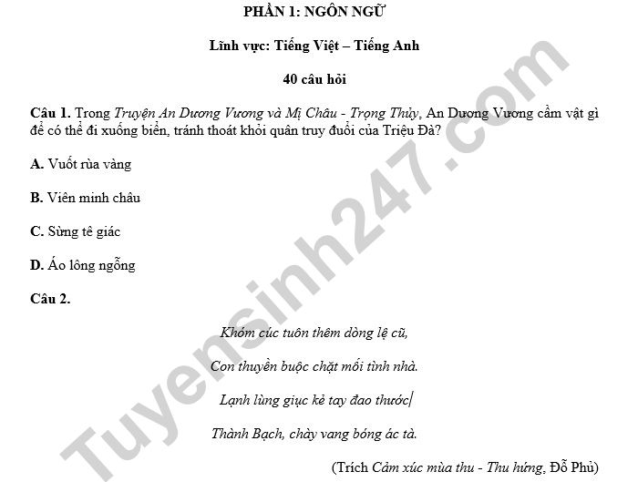 Đề 3 - thi thử đánh giá năng lực ĐHQG-HCM phần Ngôn ngữ