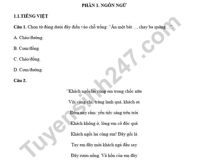 Đề ôn thi đánh giá năng lực ĐHQG TPHCM số 7 - phần Ngôn ngữ