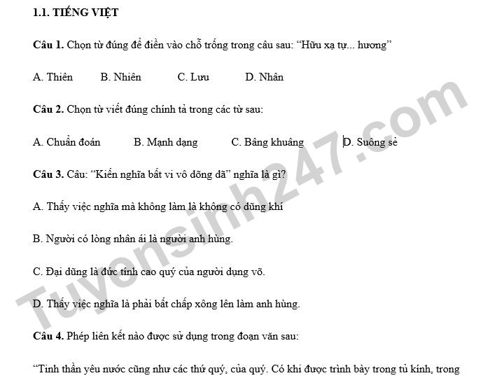 Đề ôn thi đánh giá năng lực ĐHQG-HCM số 8 - phần Ngôn ngữ