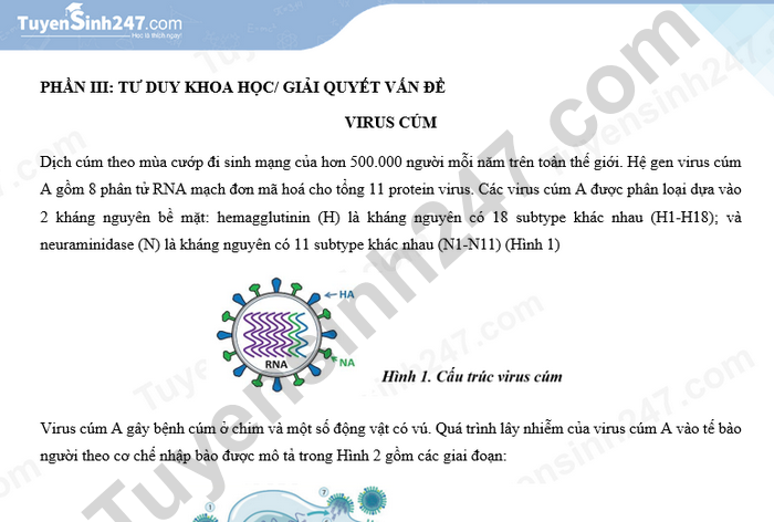 Đề thi thử đánh giá tư duy Bách khoa số 4 - Phần Khoa học/Giải quyết vấn đề