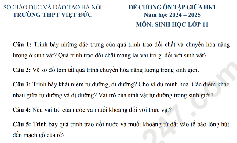 Đề cương ôn tập giữa học kỳ 1 môn Sinh lớp 11 - THPT Việt Đức 2025