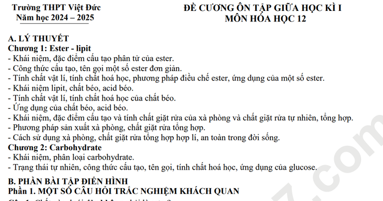 Đề cương ôn tập giữa HK1 lớp 12 môn Hóa - THPT Việt Đức 2025