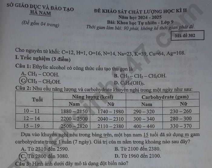 Đề thi học kì 2 môn Khoa học tự nhiên 9 - Sở GD Hà Nam 2025