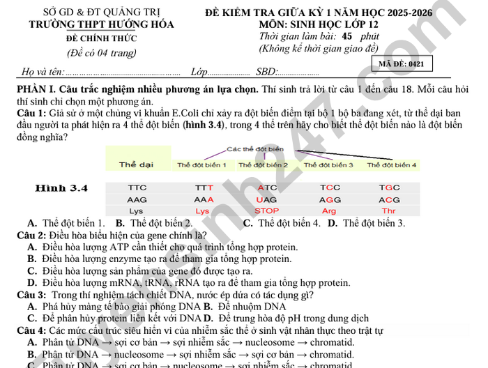 Đề thi giữa kì 1 lớp 12 môn Sinh - THPT Hướng Hóa 2025