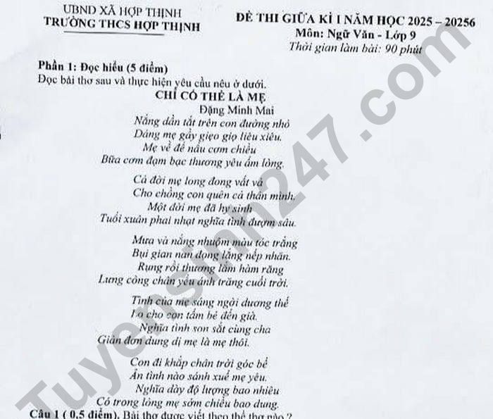 Đề thi giữa kì 1 Văn lớp 9 THCS Hợp Thịnh 2025