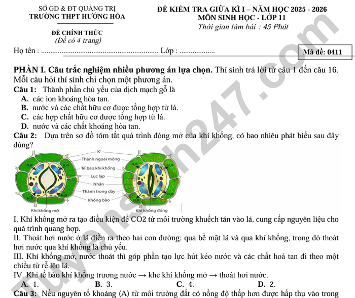 Đề thi giữa kì 1 năm 2025 THPT Hướng Hóa - lớp 11 môn Sinh