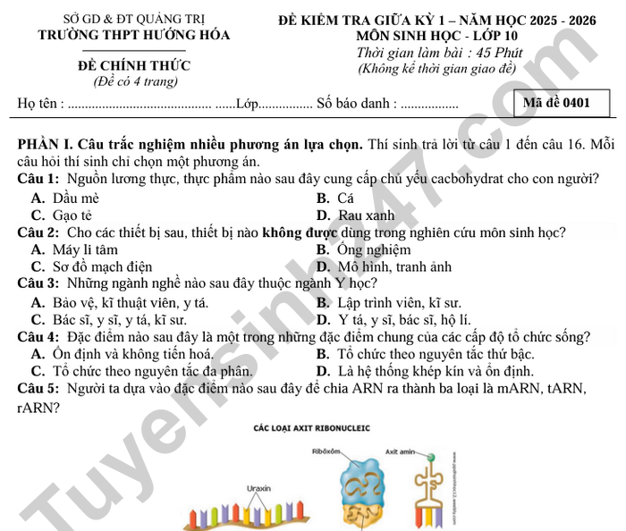 Đề thi giữa kì 1 lớp 10 môn Sinh 2025 - THPT Hướng Hóa