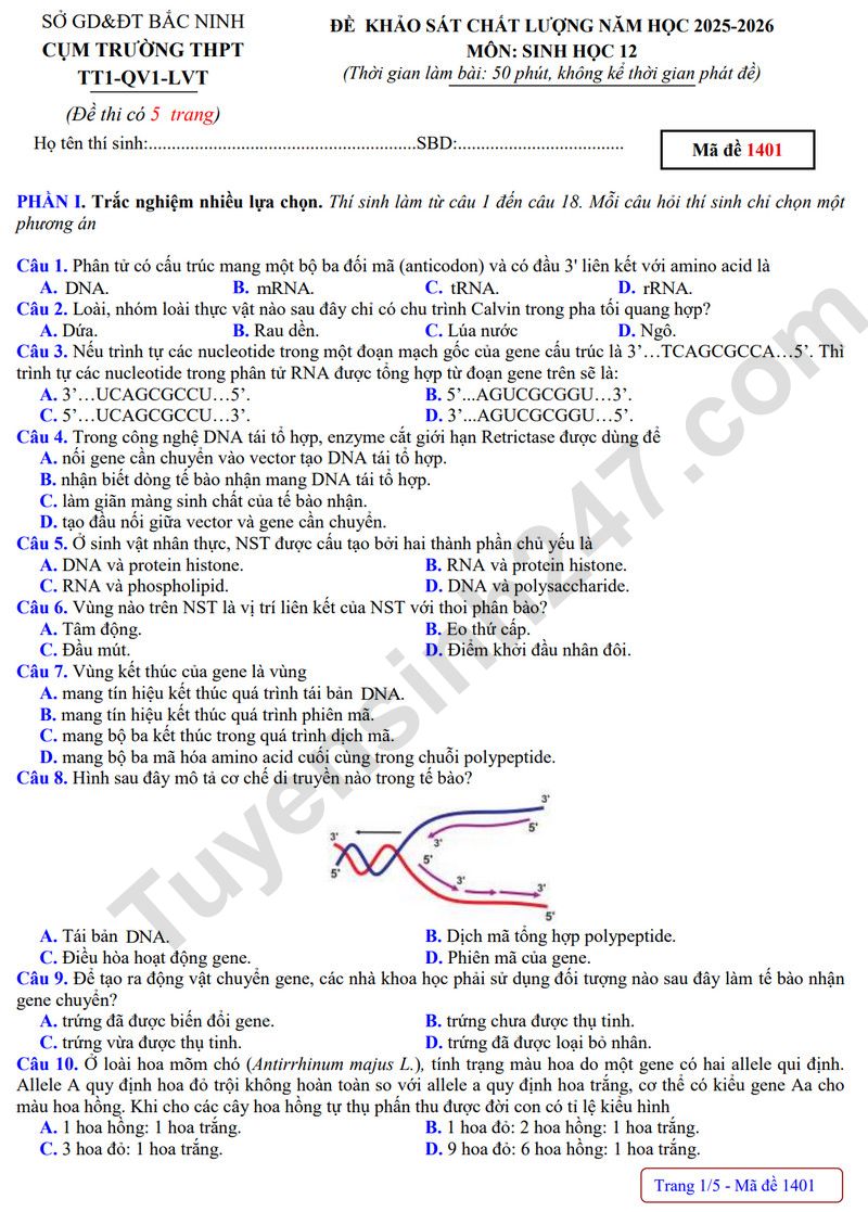 Đề thi thử tốt nghiệp THPT 2026 môn Sinh - Cụm trường Bắc Ninh (Có đáp án)