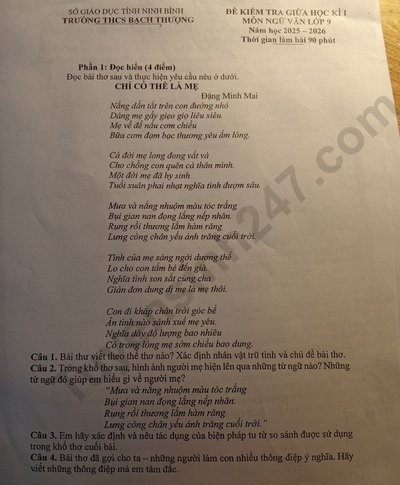 Đề thi giữa kì 1 lớp 9 môn Văn 2025 - THCS Bạch Thượng