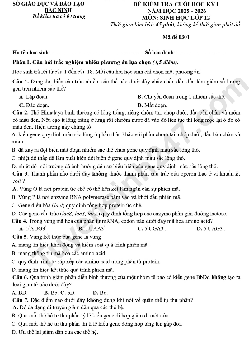 Đề thi kì 1 lớp 12 môn Sinh 2025 - Sở GD Bắc Ninh (Có đáp án)
