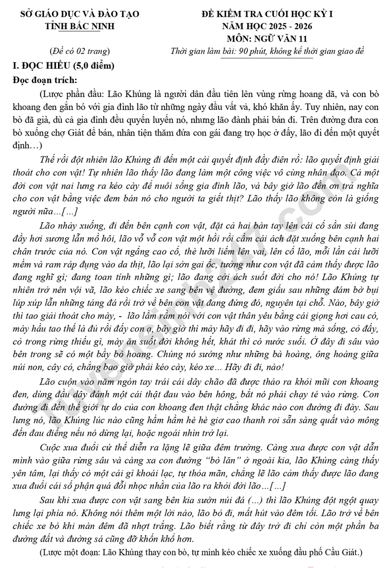 Đề thi kì 1 lớp 11 môn Văn 2025 - Sở GD Bắc Ninh (Có đáp án)