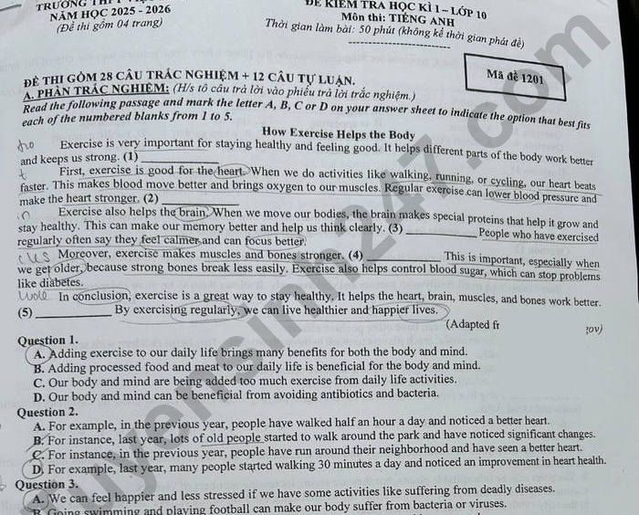 Đề thi học kì 1 môn Anh 10 năm 2025 - THPT Việt Đức