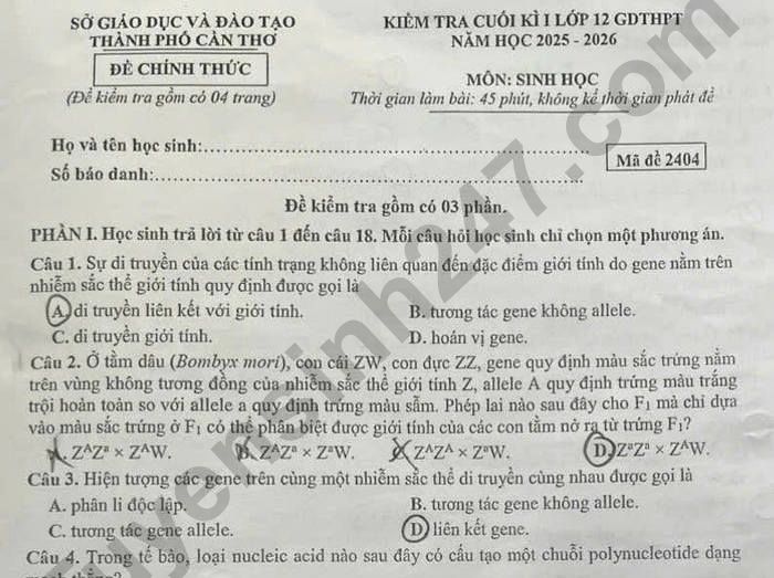 Đề thi học kì 1 môn Sinh 12 TP Cần Thơ 2025