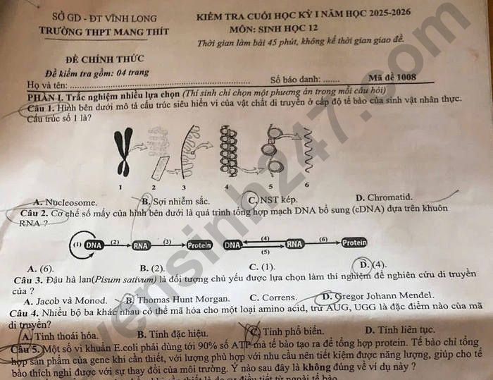 Đề thi học kì 1 lớp 12 môn Sinh 2025 - THPT Mang Thít
