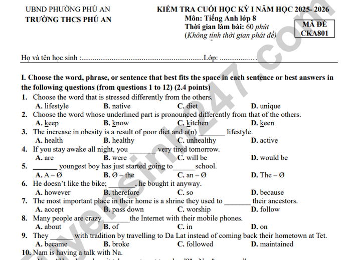 Đề thi học kì 1 năm 2025 THCS Phú An - môn Anh lớp 8